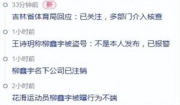 瓜在体育圈是什么意思