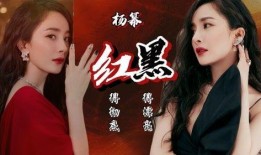 51网红黑料.娱乐圈文,娱乐圈背后的真相与争议