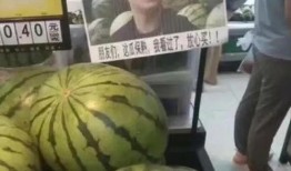 网红热瓜,揭秘网络红人的崛起与争议